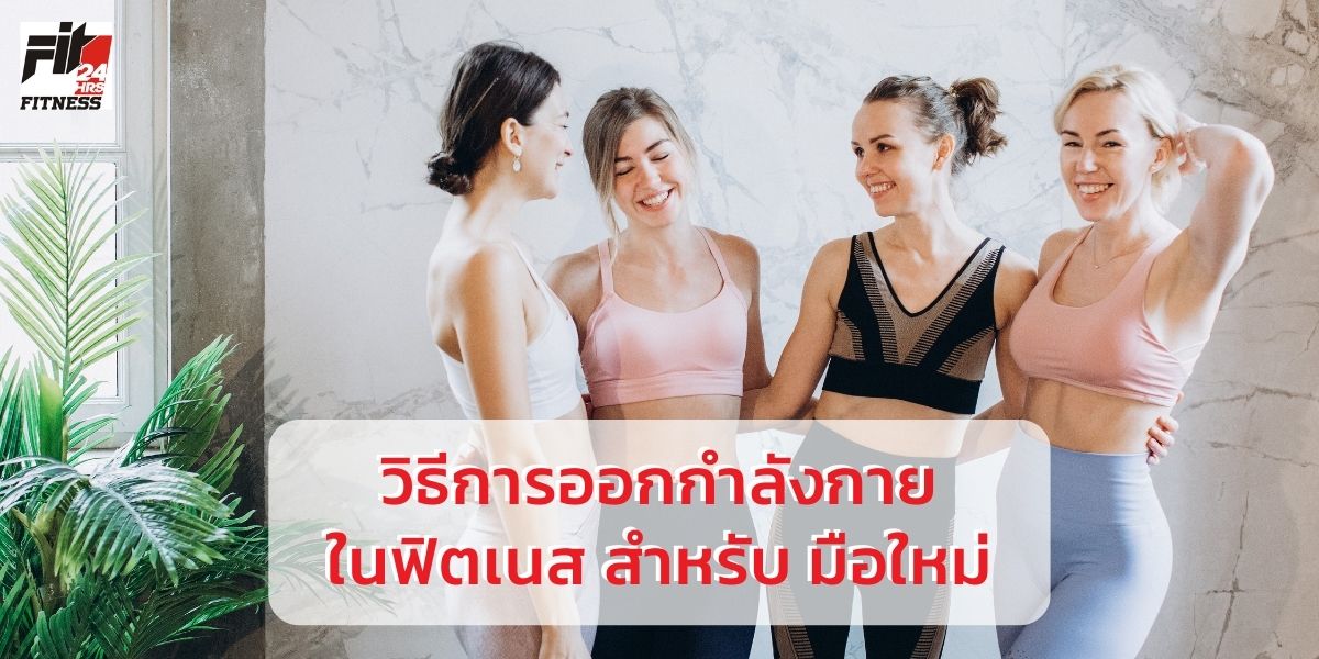 วิธีการออกกำลังกายในฟิตเนส สำหรับ มือใหม่